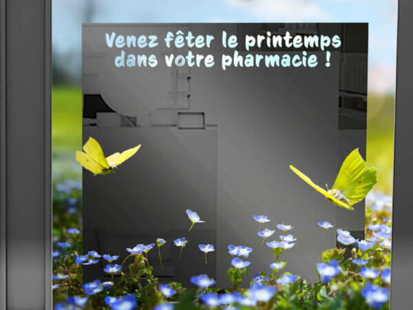 VITRINE PRINTEMPS arche + bleuets+papillons