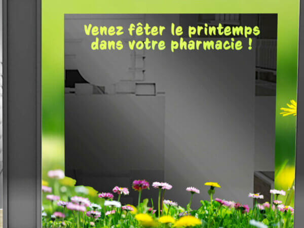VITRINE PRINTEMPS Arche + paquerettes